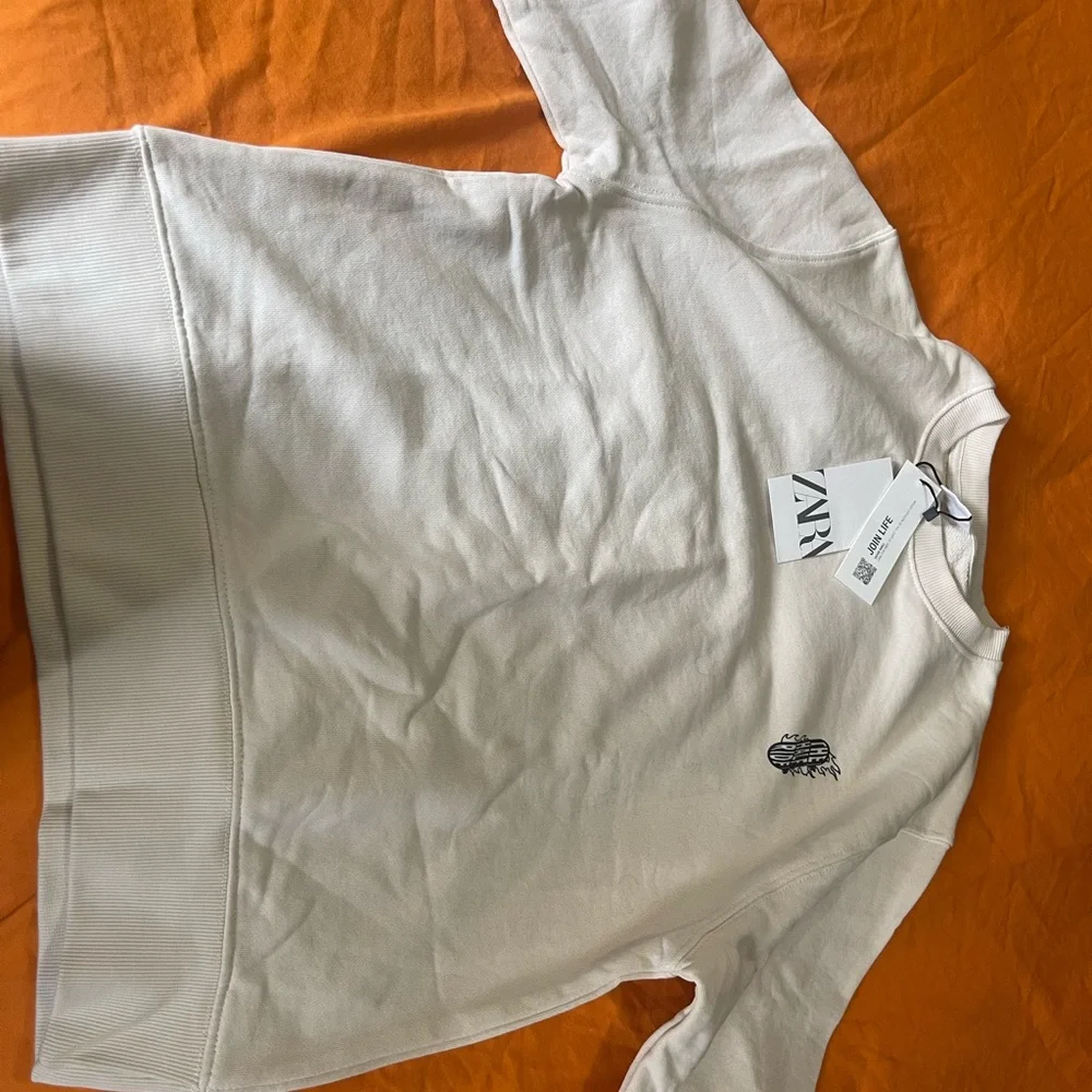 Sweatshirt - Picture 2 of 3